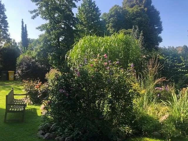 Hermsdorf Waldrandlage, Maisonette / Dachwohnung, sonnig, geräumig, Sofortbezug ! Garten ! — photo 1